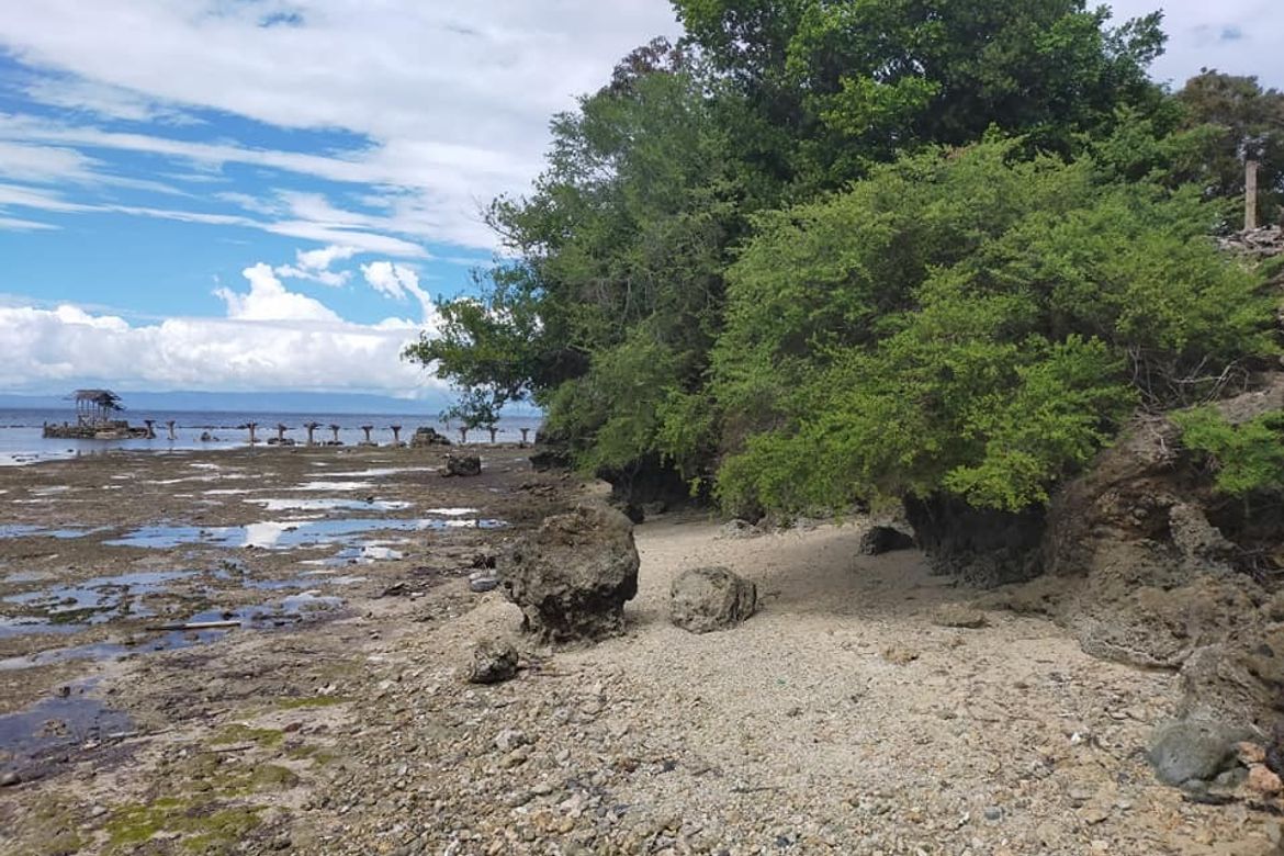 Land for Sale in Kinabag-An, Calape, Bohol – photo 7