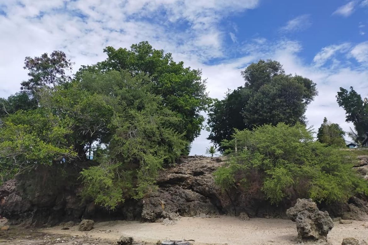 Land for Sale in Kinabag-An, Calape, Bohol – photo 8