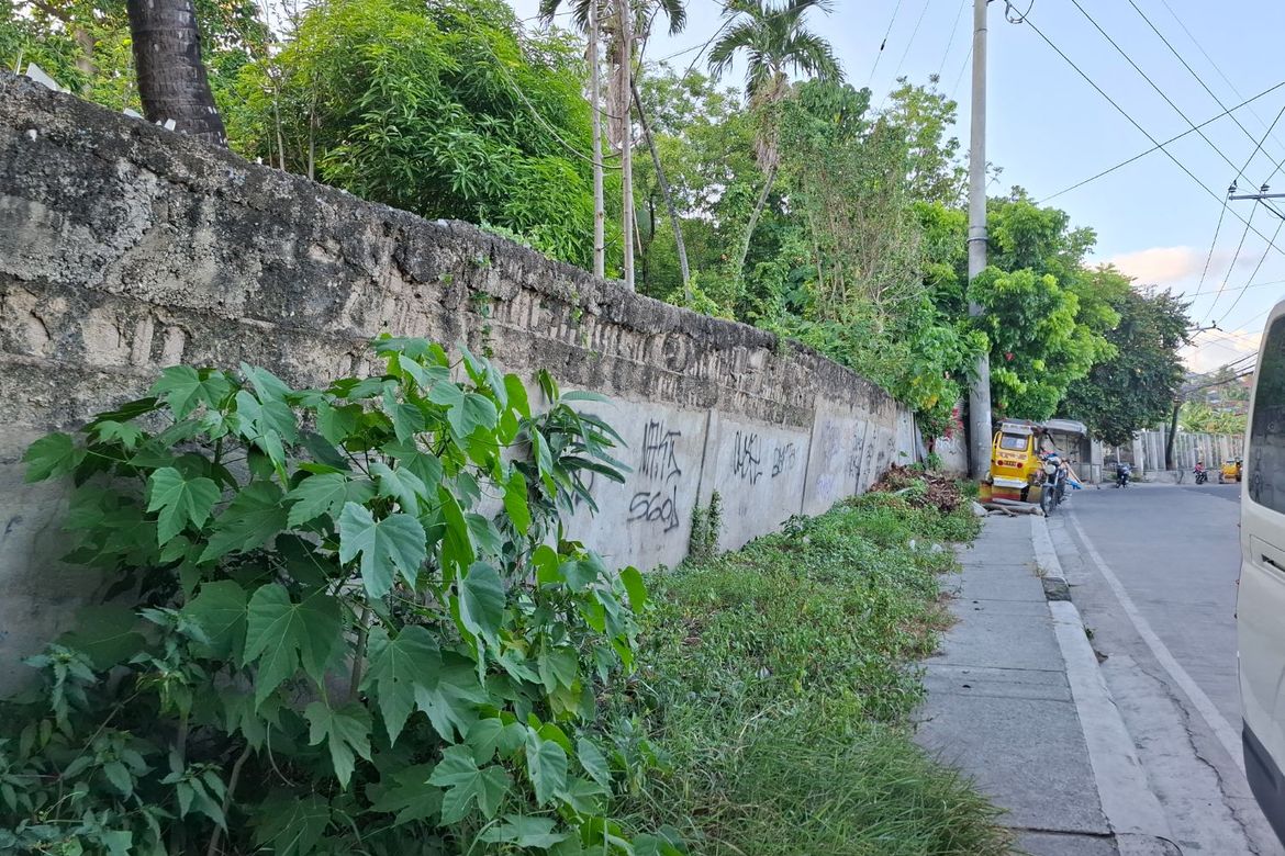 Land for Sale in Kinasang-An Pardo, Cebu City, Cebu – photo 3