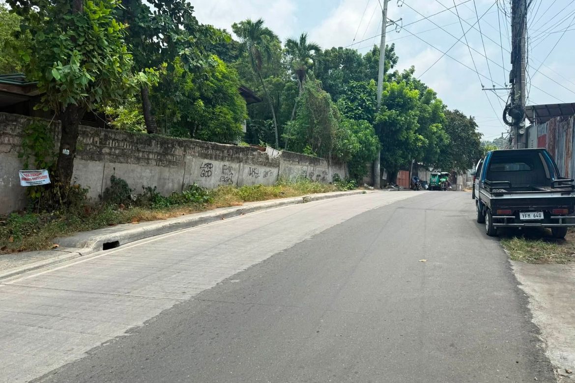 Land for Sale in Kinasang-An Pardo, Cebu City, Cebu – photo 3