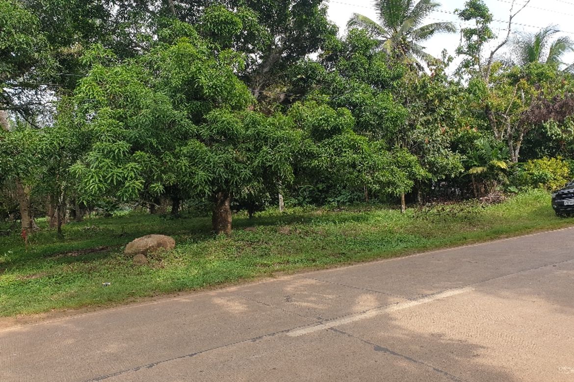 Land for Sale in Kinawe, Libona, Bukidnon – photo 7