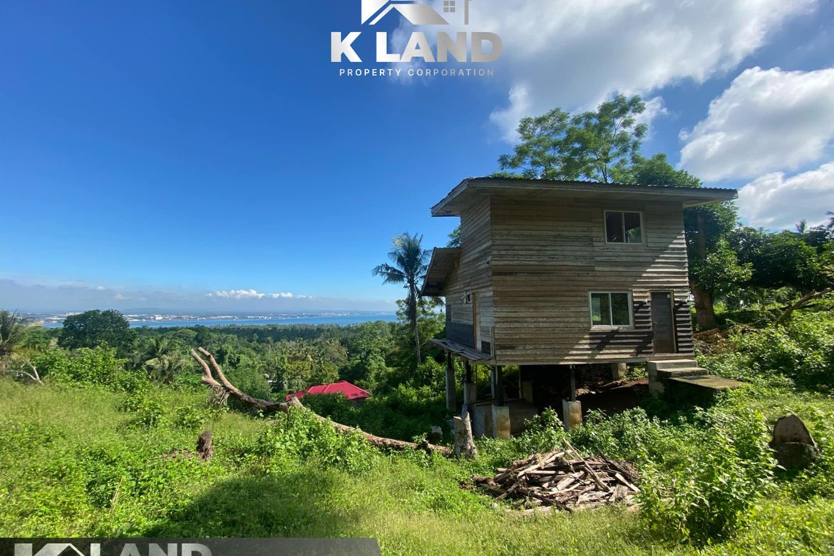 Land for Sale in Kinawitnon, Samal, Davao del Norte – photo 2