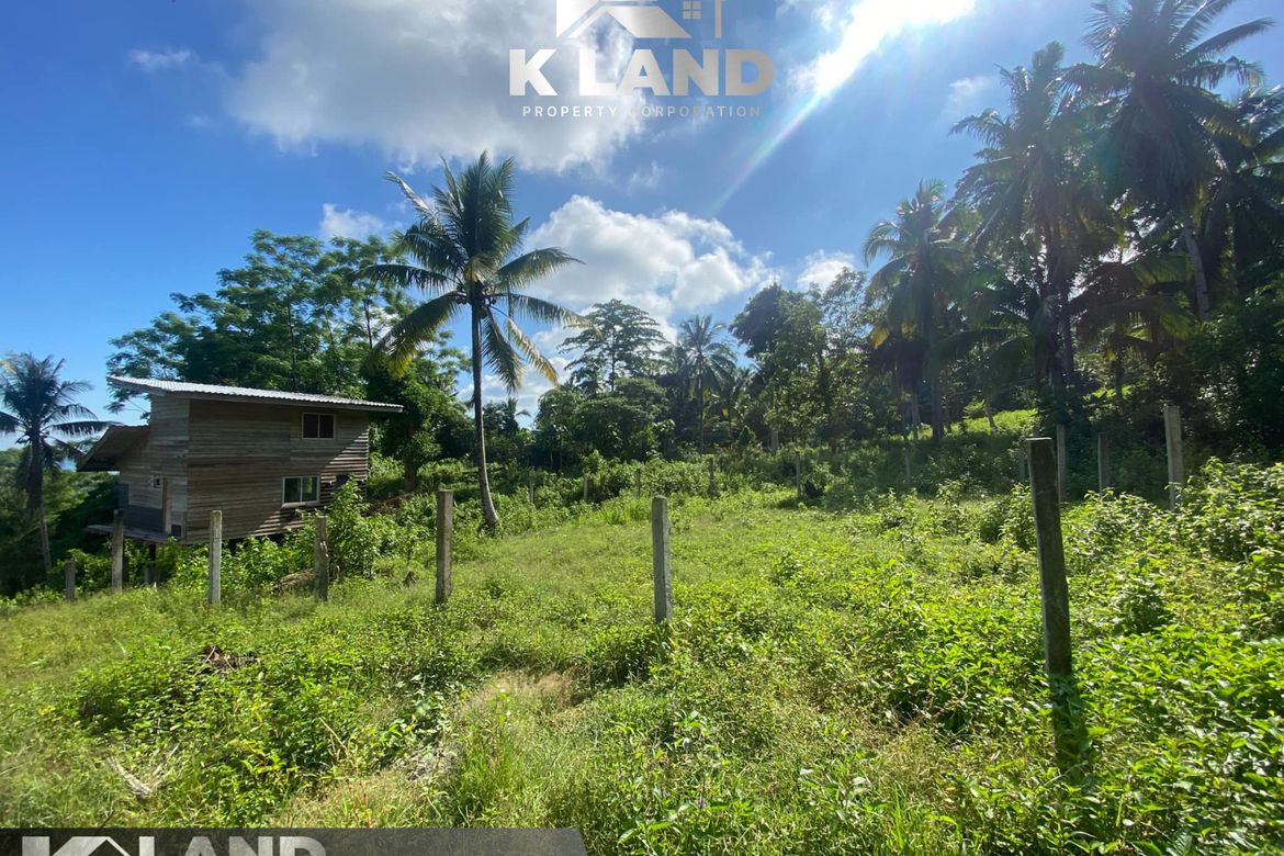 Land for Sale in Kinawitnon, Samal, Davao del Norte – photo 3