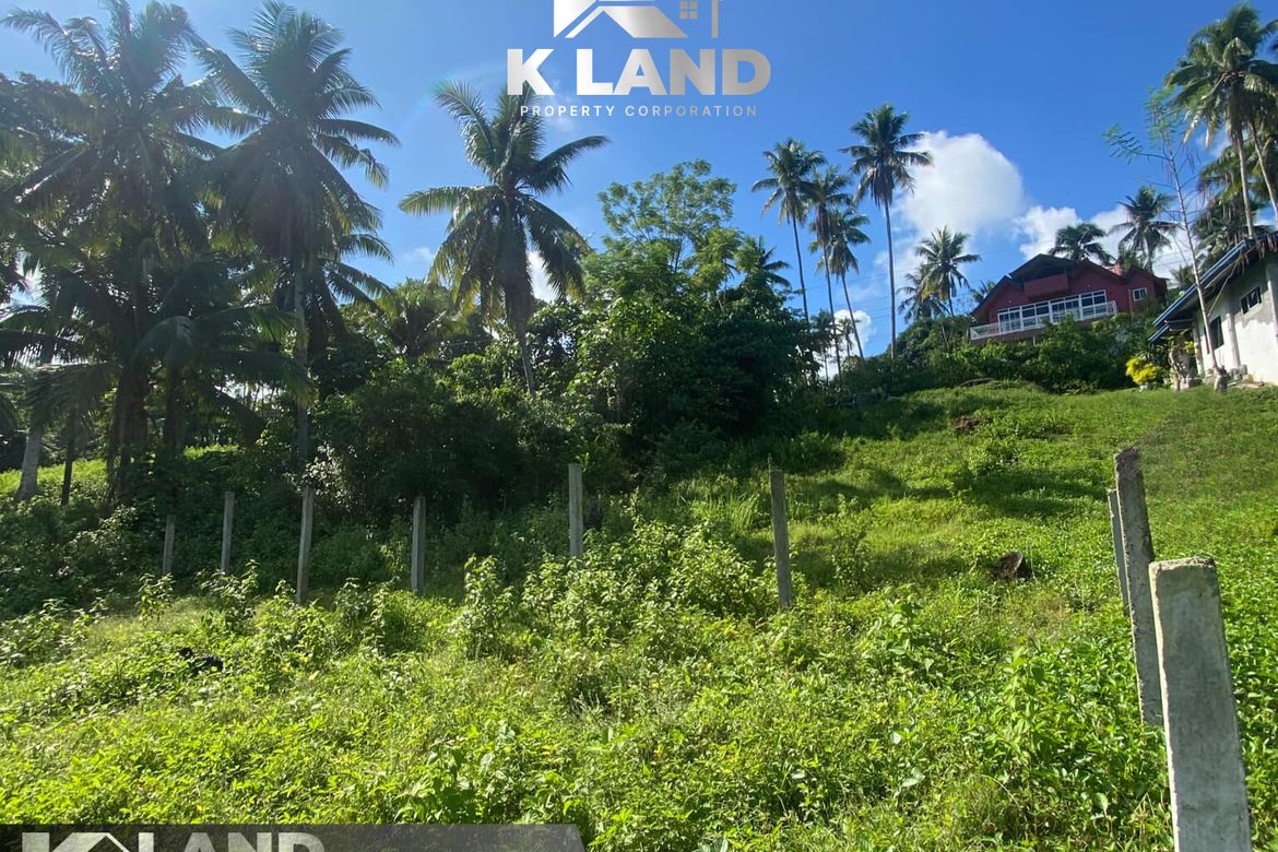 Land for Sale in Kinawitnon, Samal, Davao del Norte – photo 4