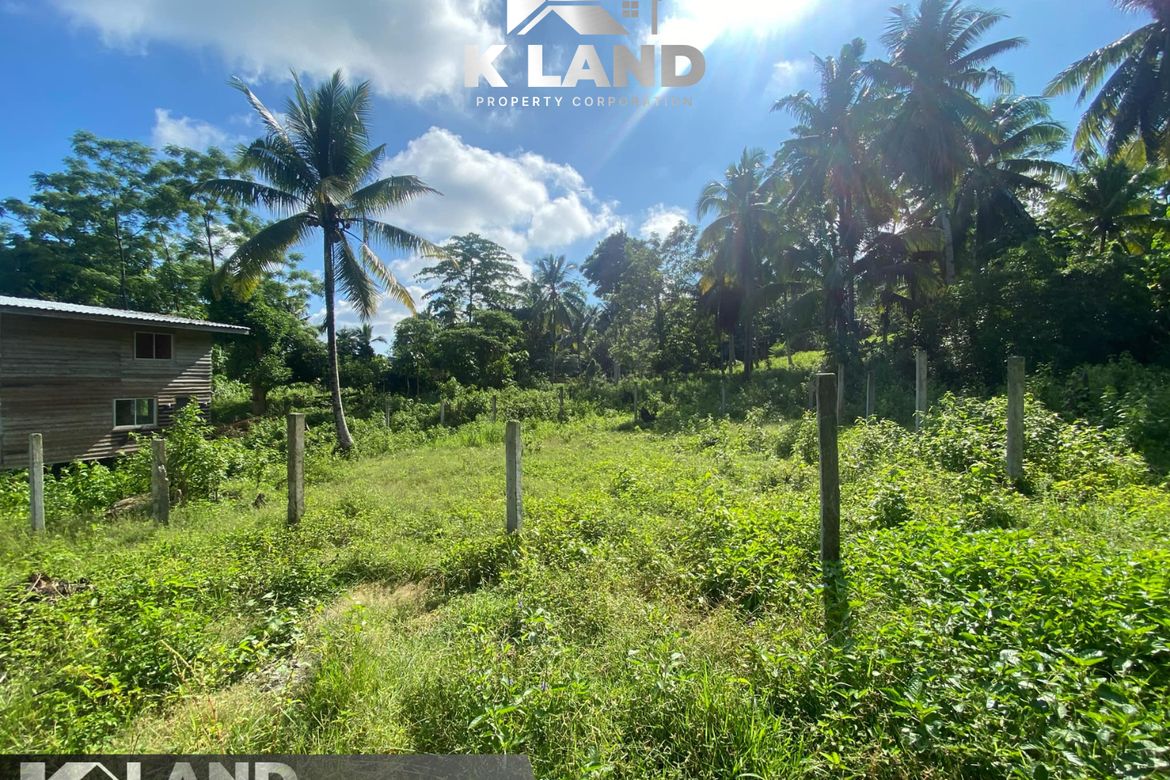 Land for Sale in Kinawitnon, Samal, Davao del Norte – photo 5