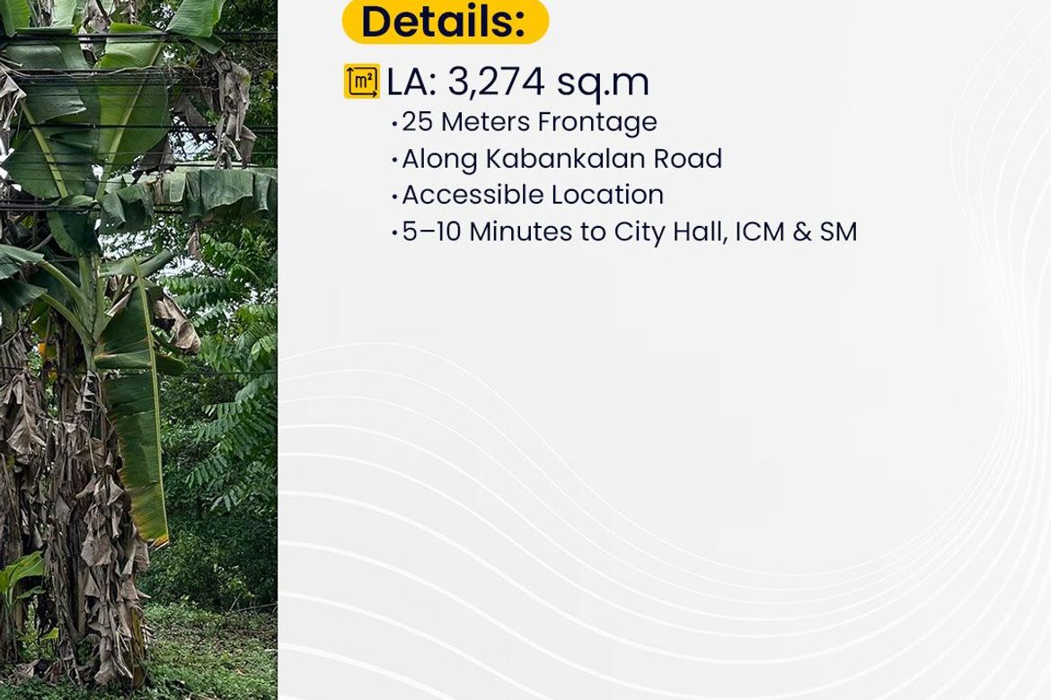 Land for Sale in La Paz, Carmen, Bohol – photo 2