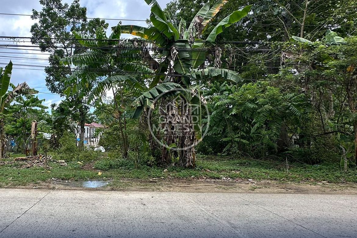 Land for Sale in La Paz, Carmen, Bohol – photo 6
