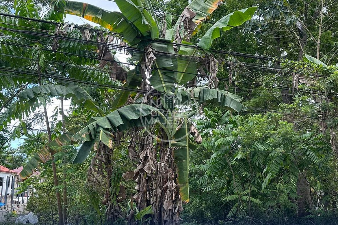Land for Sale in La Paz, Carmen, Bohol – photo 7