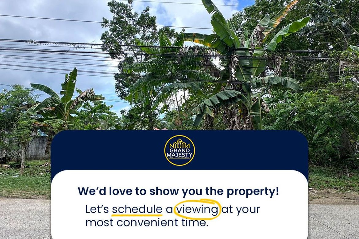 Land for Sale in La Paz, Carmen, Bohol – photo 8