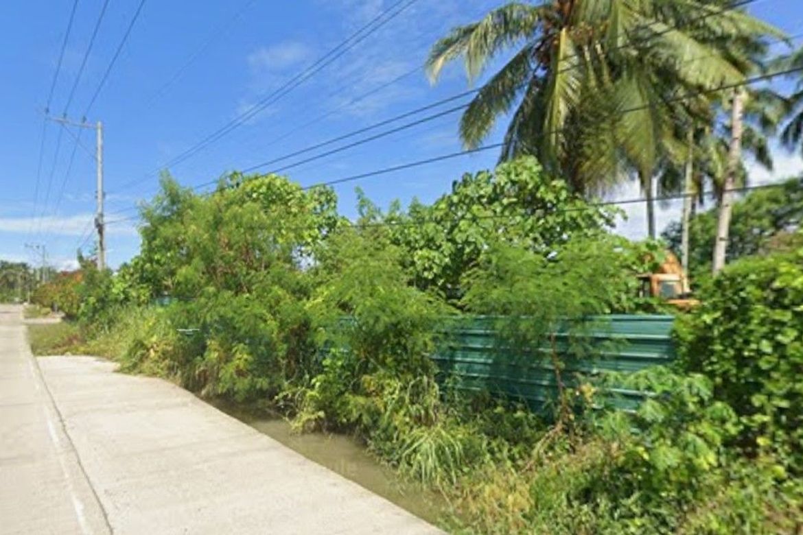 Land for Sale in La Paz, Carmen, Davao del Norte – photo 2