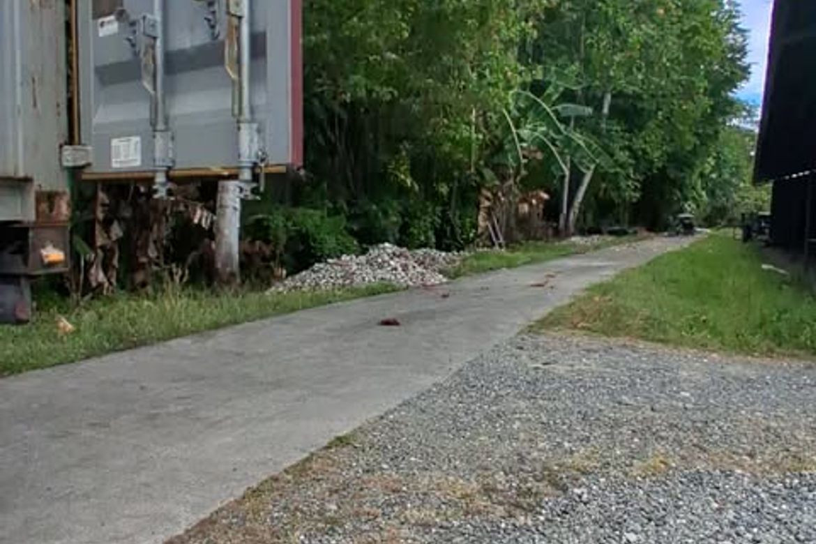Land for Sale in La Paz, Carmen, Davao del Norte – photo 4