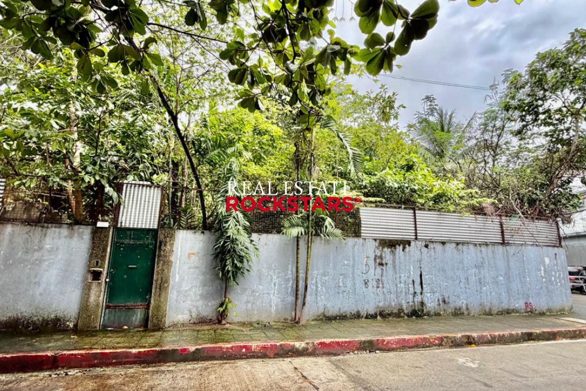 Land for Sale in La Paz, Makati City – photo 9