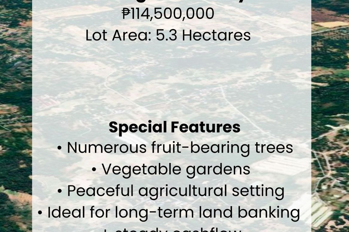 Land for Sale in La Paz, Villasis, Pangasinan – photo 2
