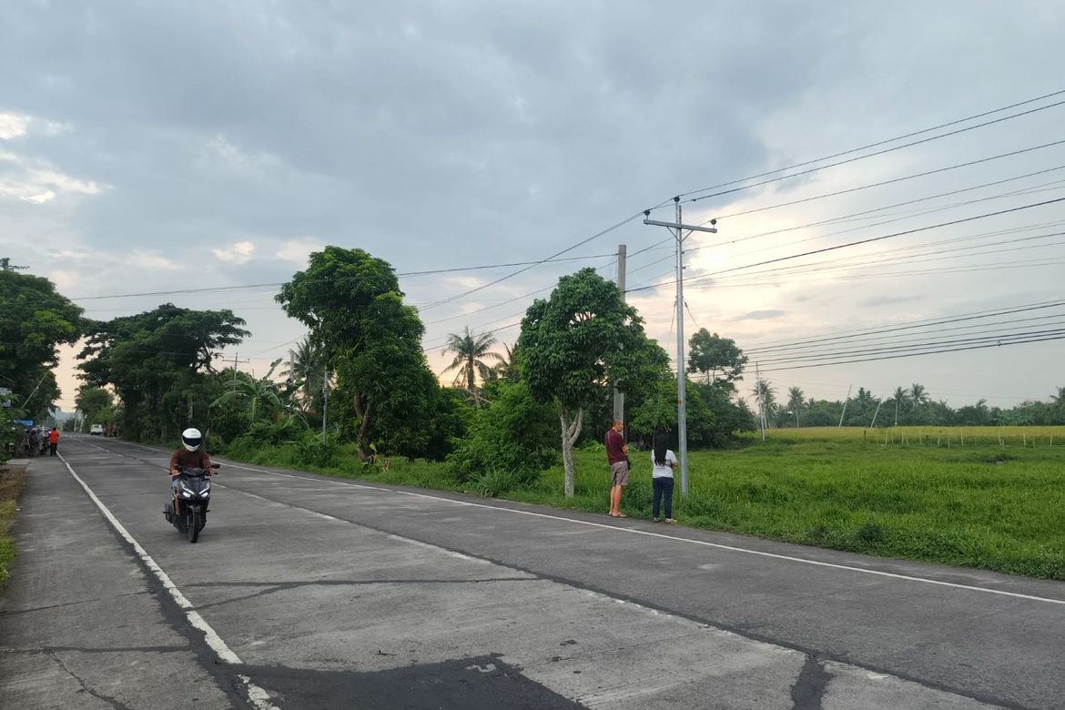 Land for Sale in La Purisima Nuevo, Ocampo, Camarines Sur – photo 3