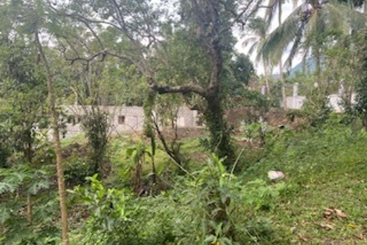 Land for Sale in Labac, Cuenca, Batangas – photo 5