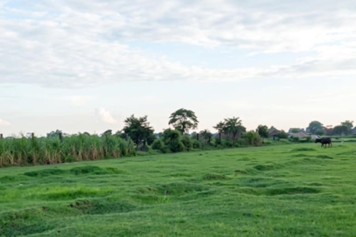 Land for Sale in Lacmit, Arayat, Pampanga – photo 2