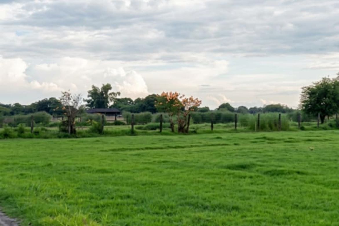 Land for Sale in Lacmit, Arayat, Pampanga – photo 4
