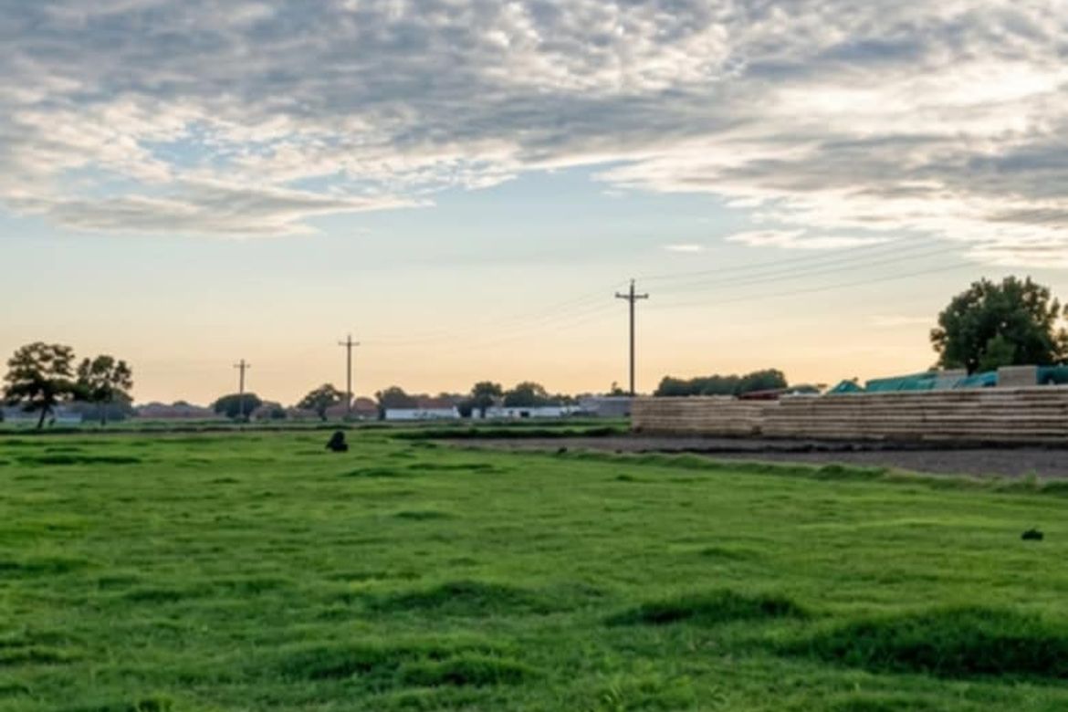 Land for Sale in Lacmit, Arayat, Pampanga – photo 5