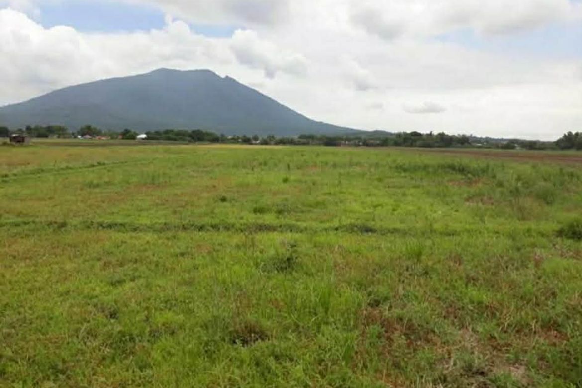 Land for Sale in Lacmit, Arayat, Pampanga