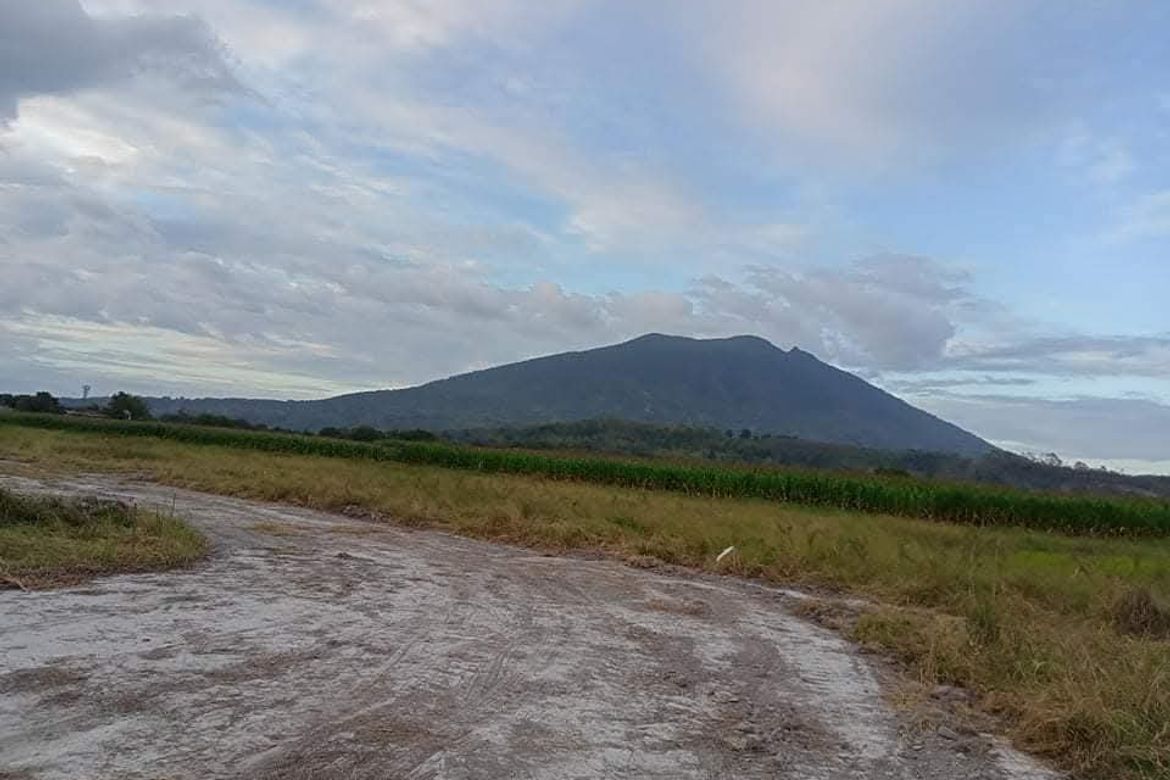 Land for Sale in Lacmit, Arayat, Pampanga – photo 2