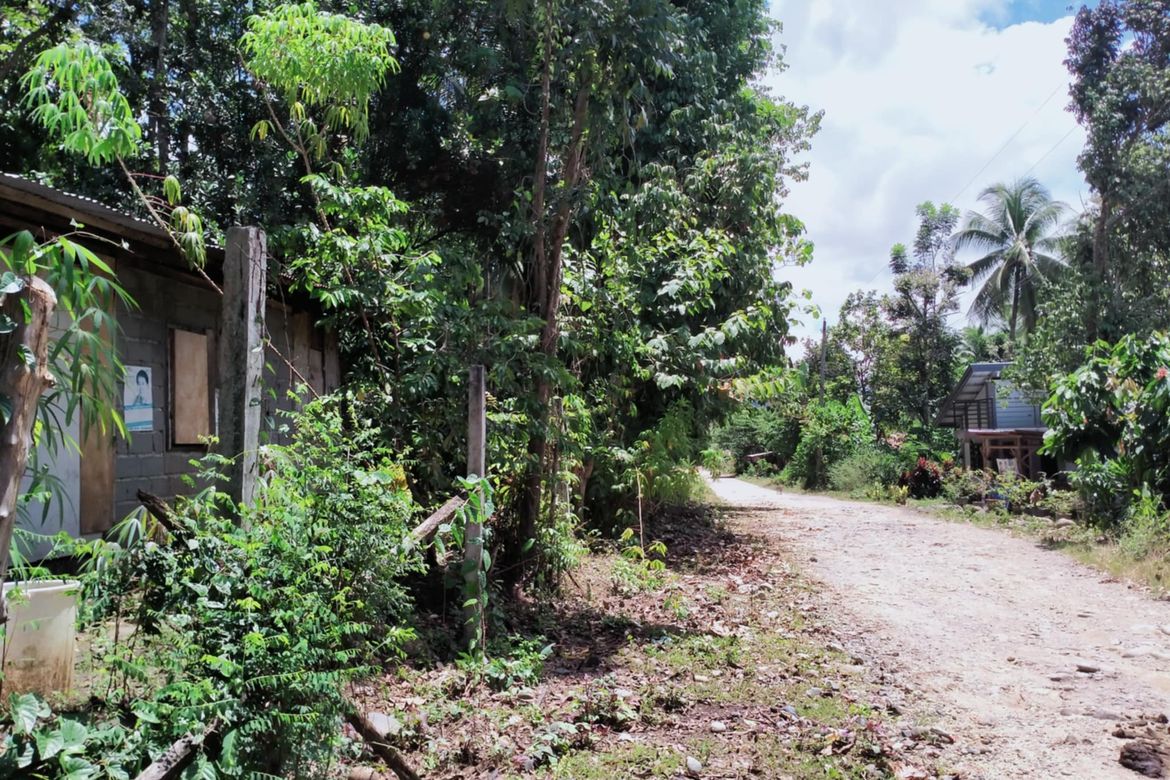 Land for Sale in Lacson, Davao City, Davao del Sur – photo 2