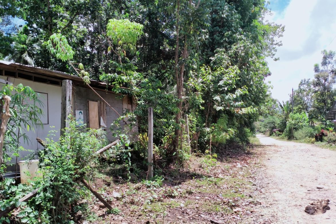 Land for Sale in Lacson, Davao City, Davao del Sur – photo 6