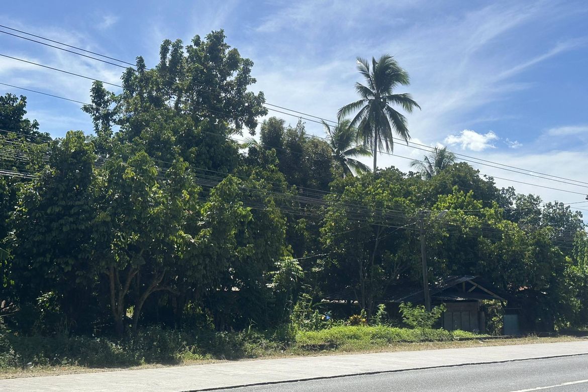 Land for Sale in Lacson, Davao City, Davao del Sur