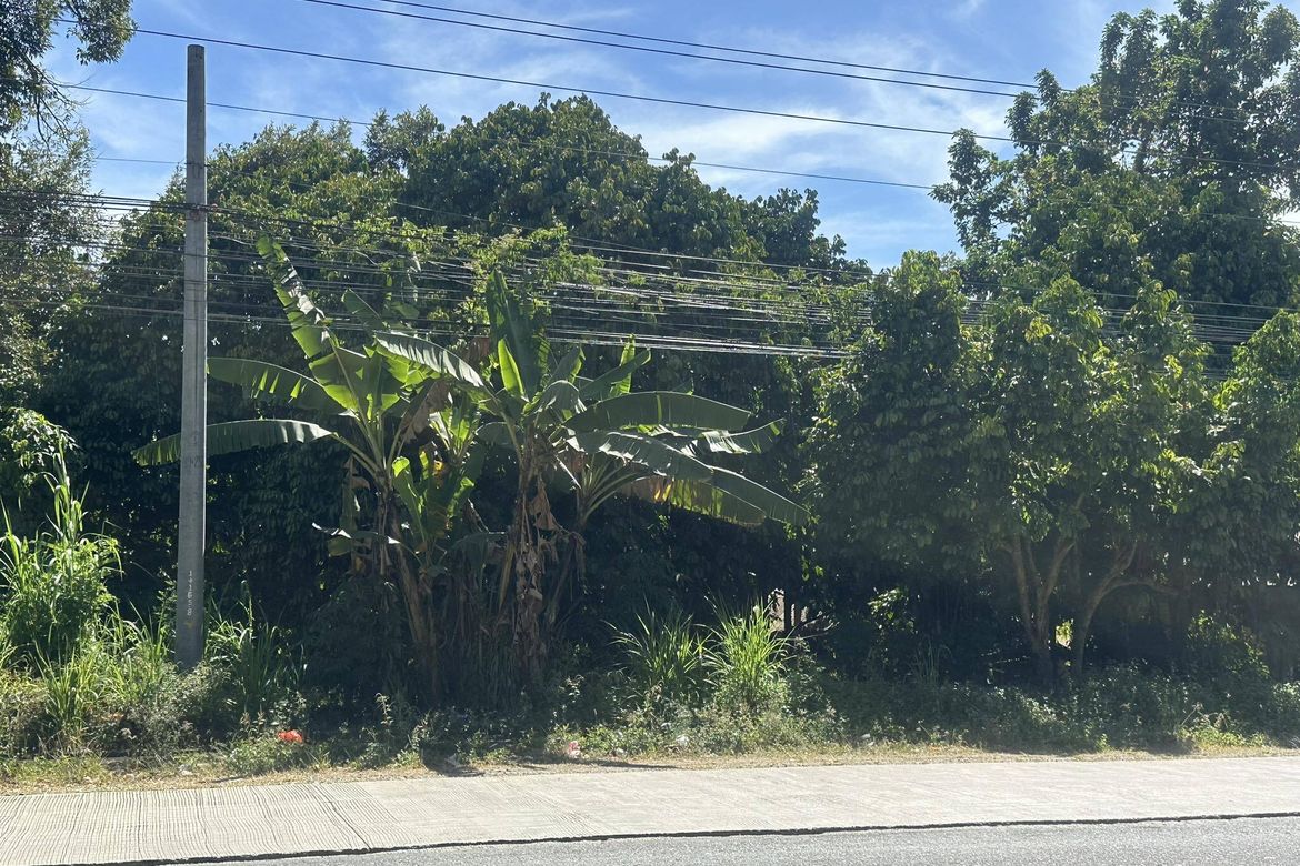 Land for Sale in Lacson, Davao City, Davao del Sur – photo 5