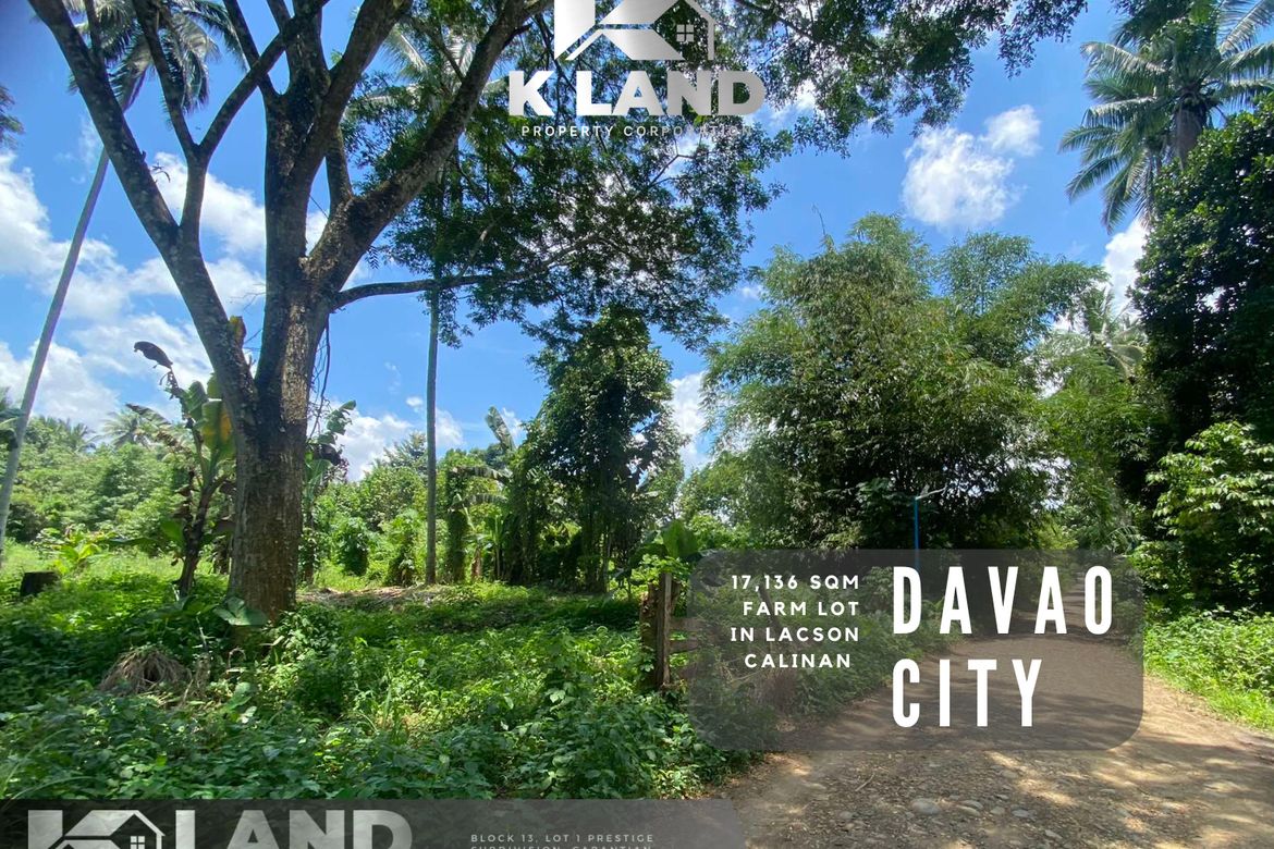 Land for Sale in Lacson, Davao City, Davao del Sur