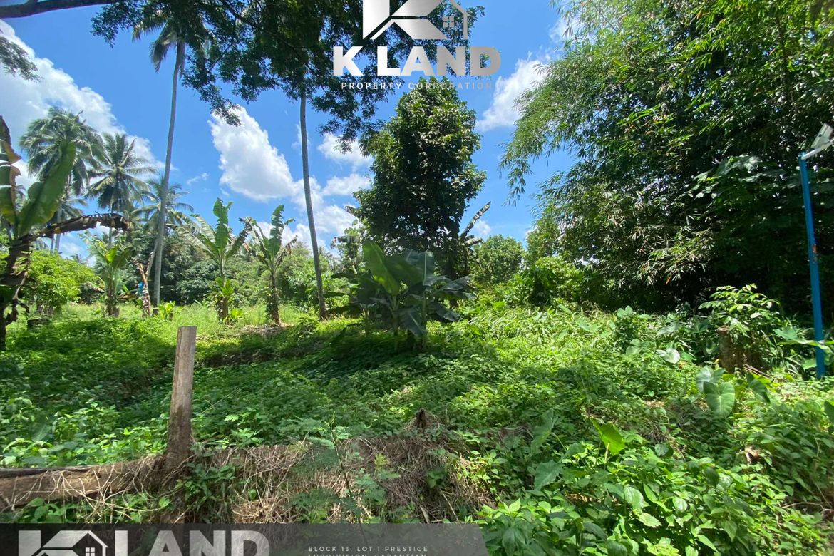 Land for Sale in Lacson, Davao City, Davao del Sur – photo 2