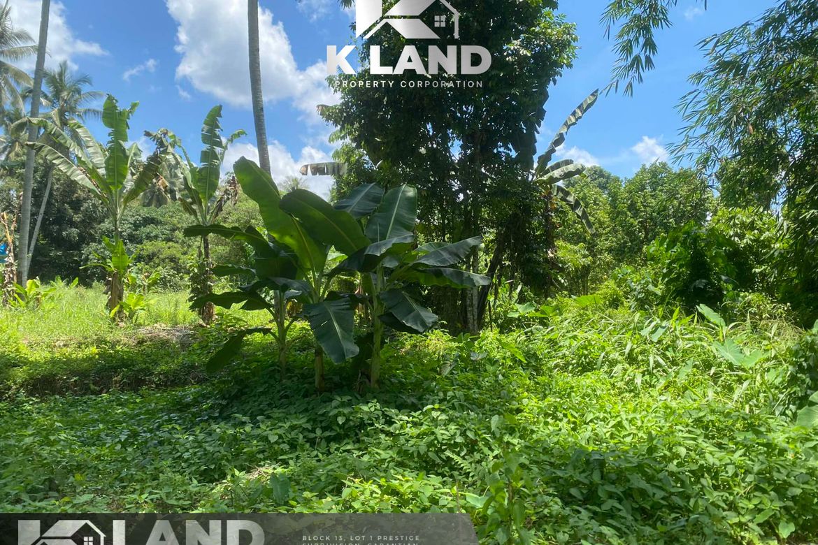Land for Sale in Lacson, Davao City, Davao del Sur – photo 3