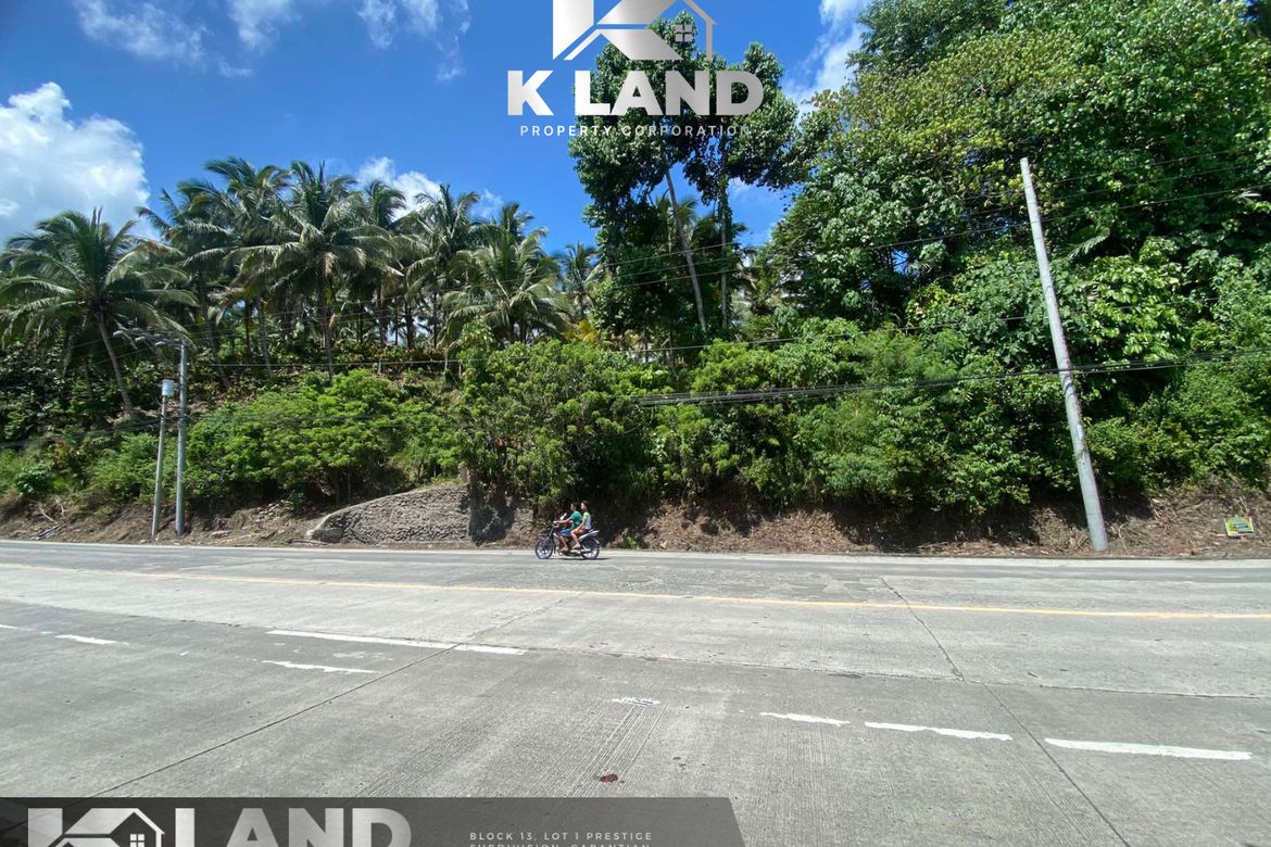 Land for Sale in Lacson, Davao City, Davao del Sur – photo 4