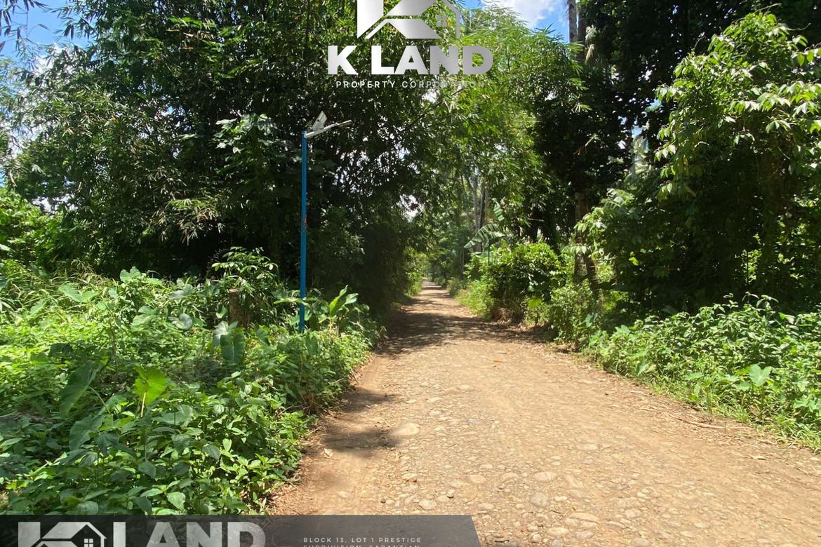 Land for Sale in Lacson, Davao City, Davao del Sur – photo 5
