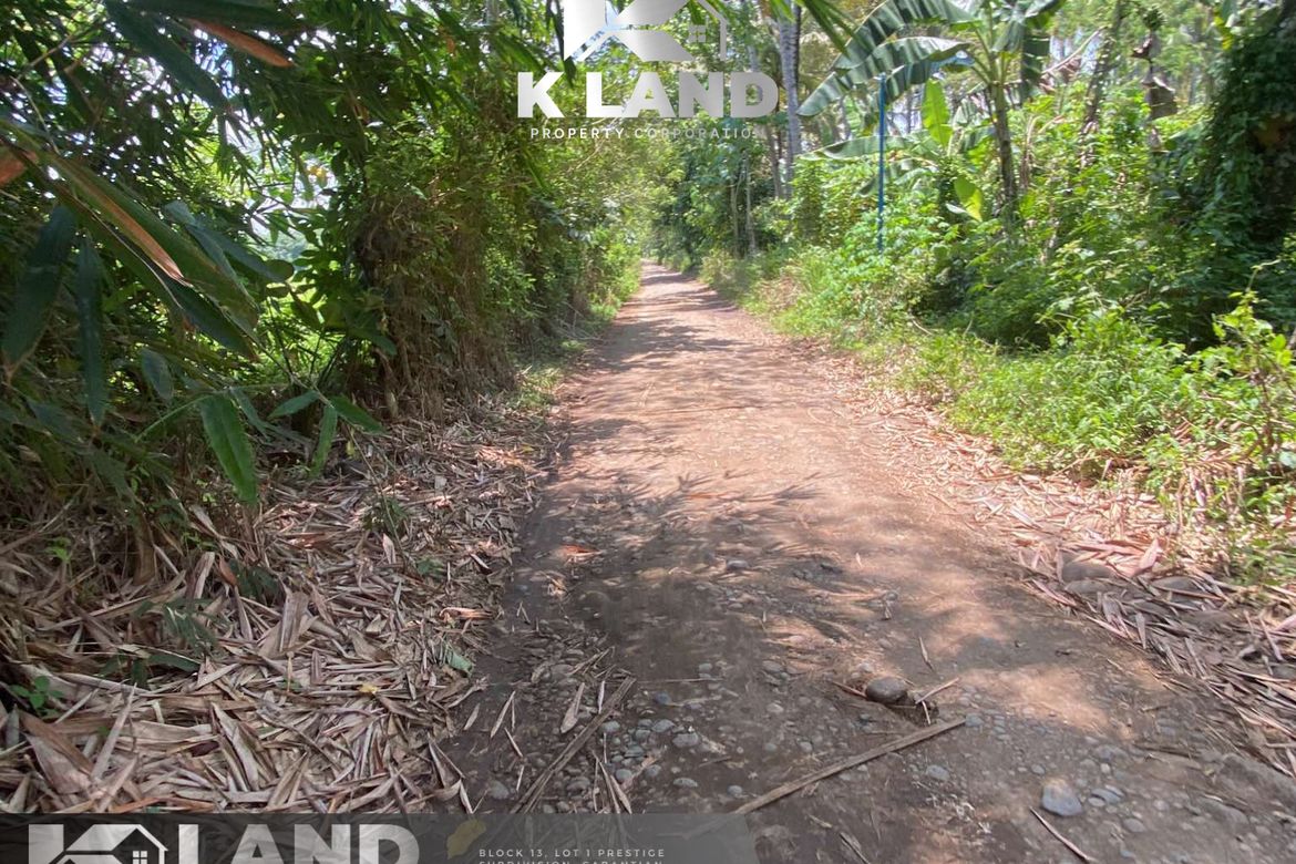 Land for Sale in Lacson, Davao City, Davao del Sur – photo 6
