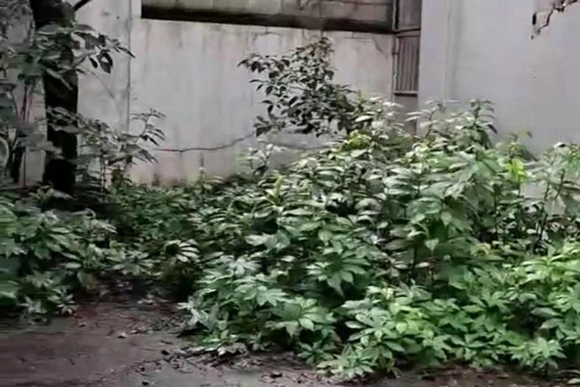 Land for Sale in Laging Handa, Quezon City, Metro Manila – photo 3