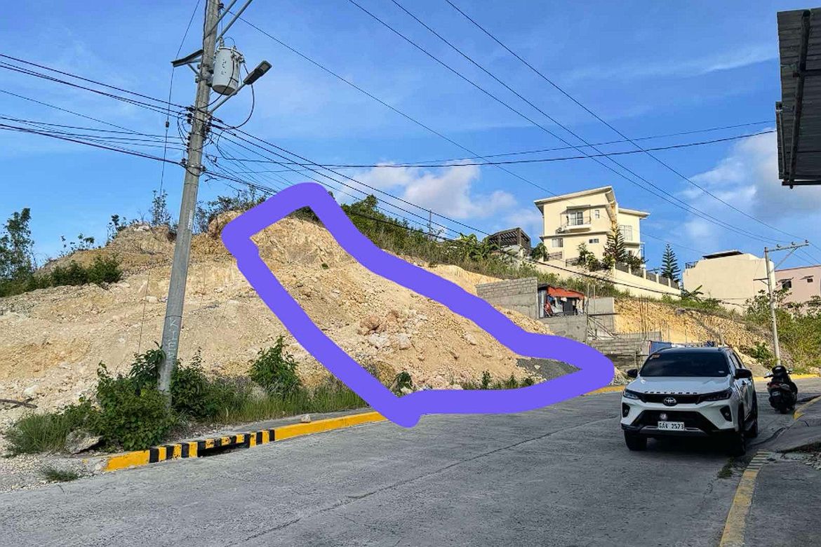Land for Sale in Lagtang, Talisay, Cebu – photo 4