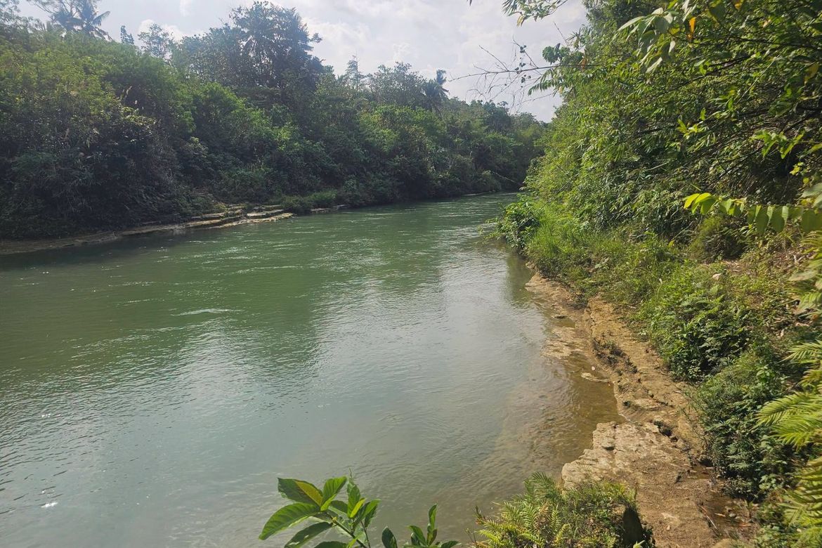 Land for Sale in Lagtangan, Sevilla, Bohol