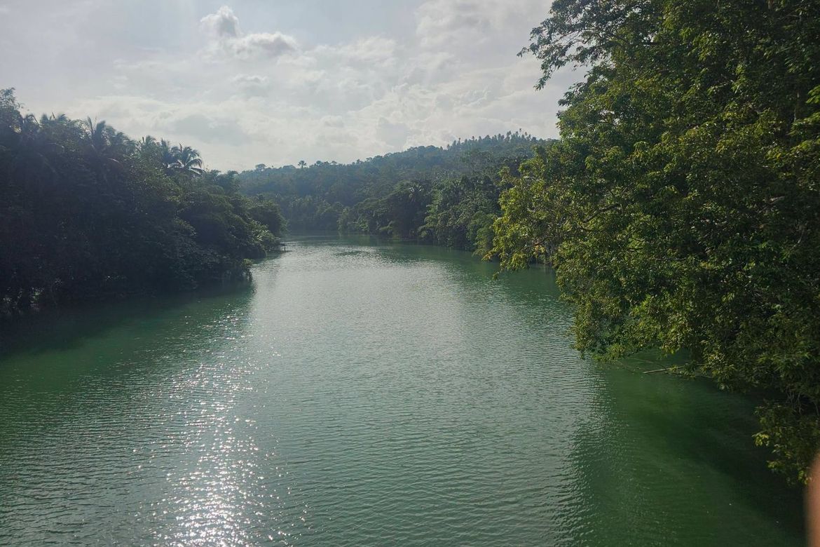 Land for Sale in Lagtangan, Sevilla, Bohol – photo 3