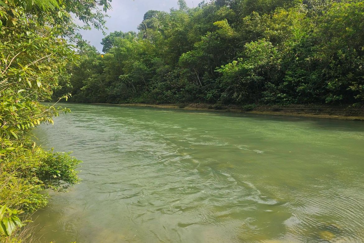 Land for Sale in Lagtangan, Sevilla, Bohol – photo 4