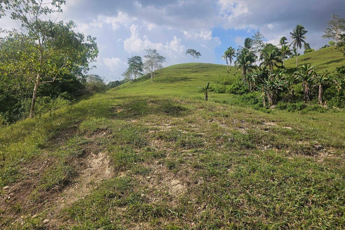Land for Sale in Lagtangan, Sevilla, Bohol – photo 5