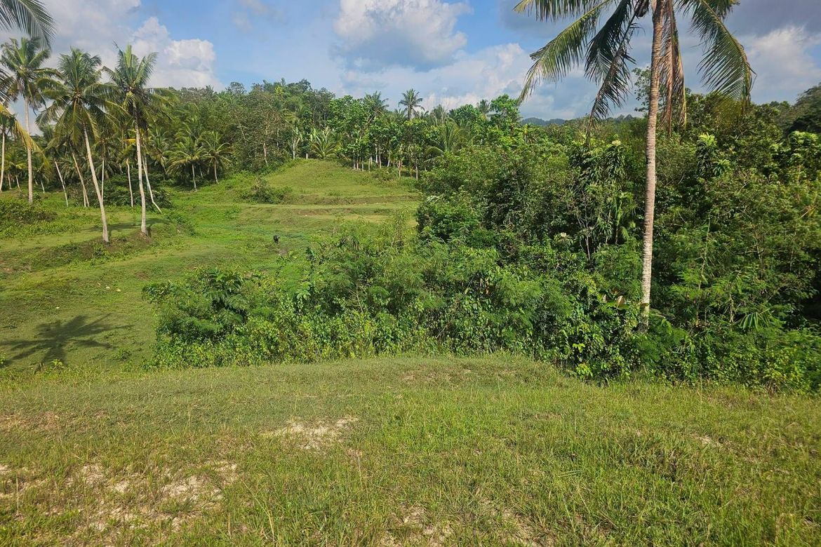 Land for Sale in Lagtangan, Sevilla, Bohol – photo 6