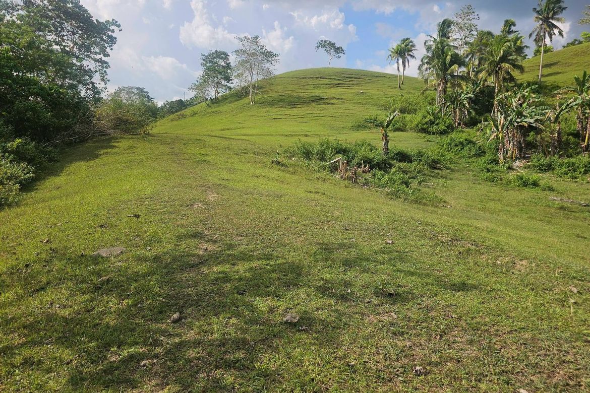 Land for Sale in Lagtangan, Sevilla, Bohol – photo 8