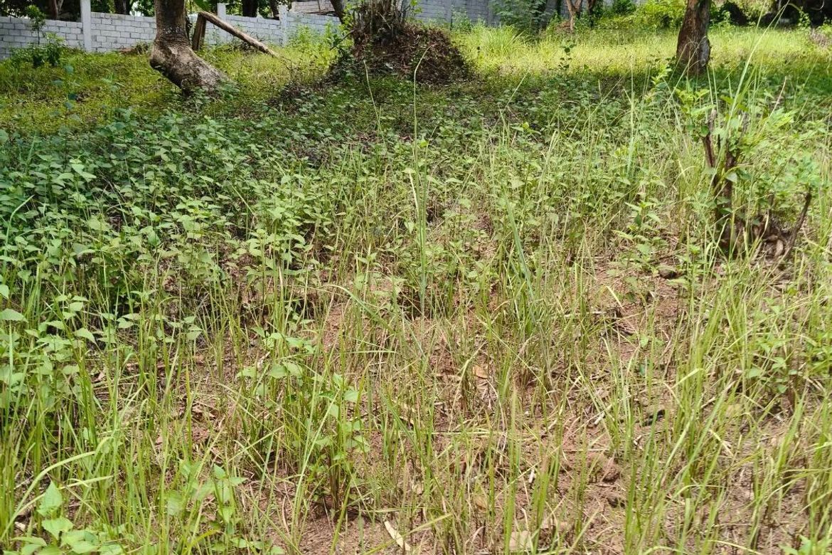 Land for Sale in Lagundi, Morong, Rizal