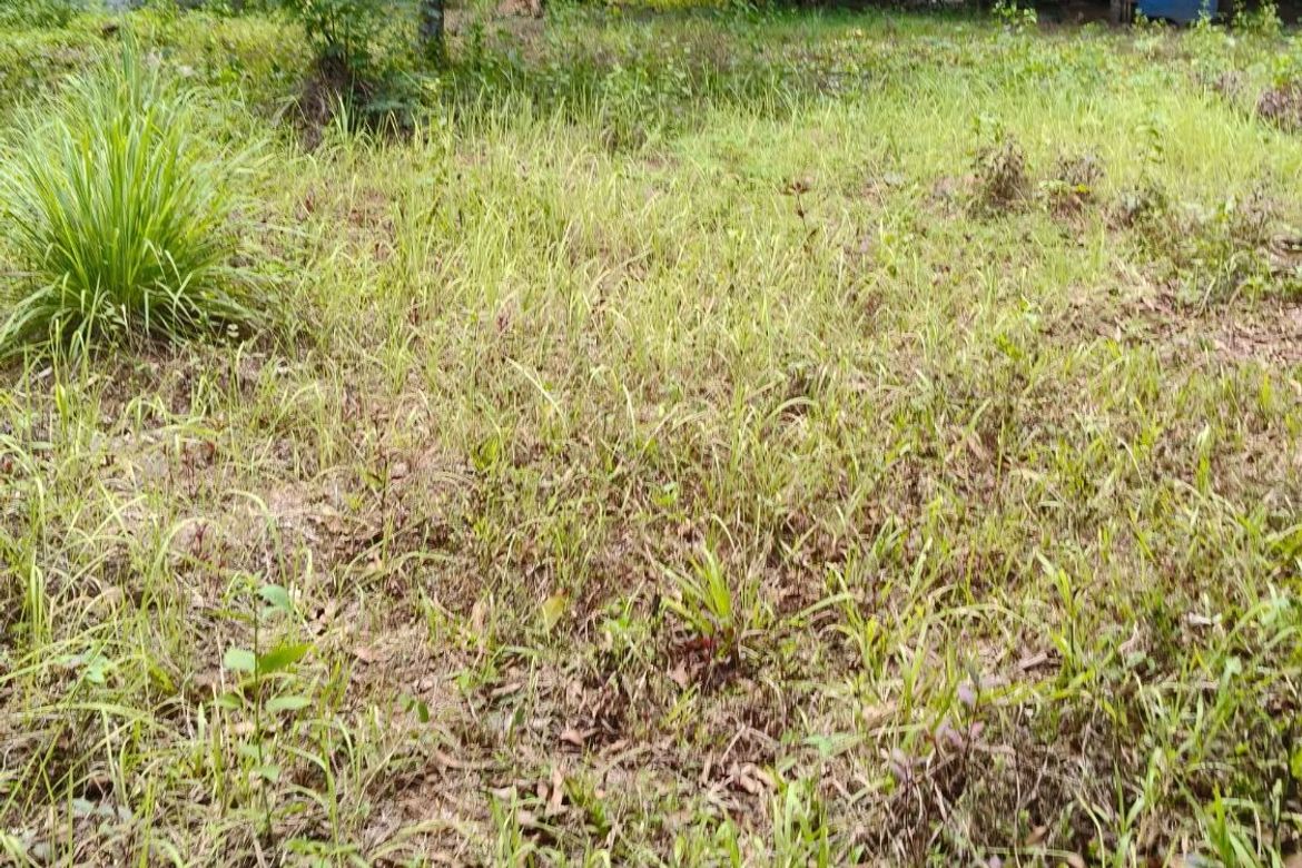 Land for Sale in Lagundi, Morong, Rizal – photo 4