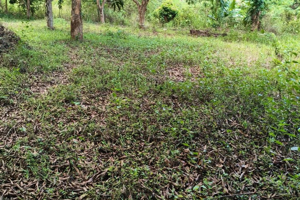 Land for Sale in Lagundi, Morong, Rizal – photo 6
