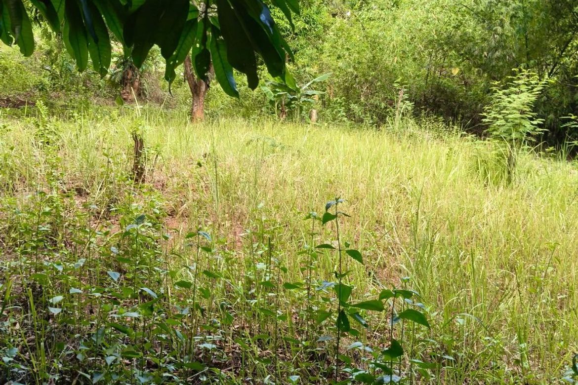 Land for Sale in Lagundi, Morong, Rizal – photo 7