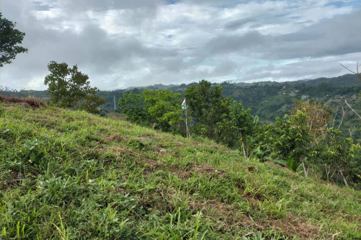 Land for Sale in Lahug, Cebu City, Cebu – photo 3