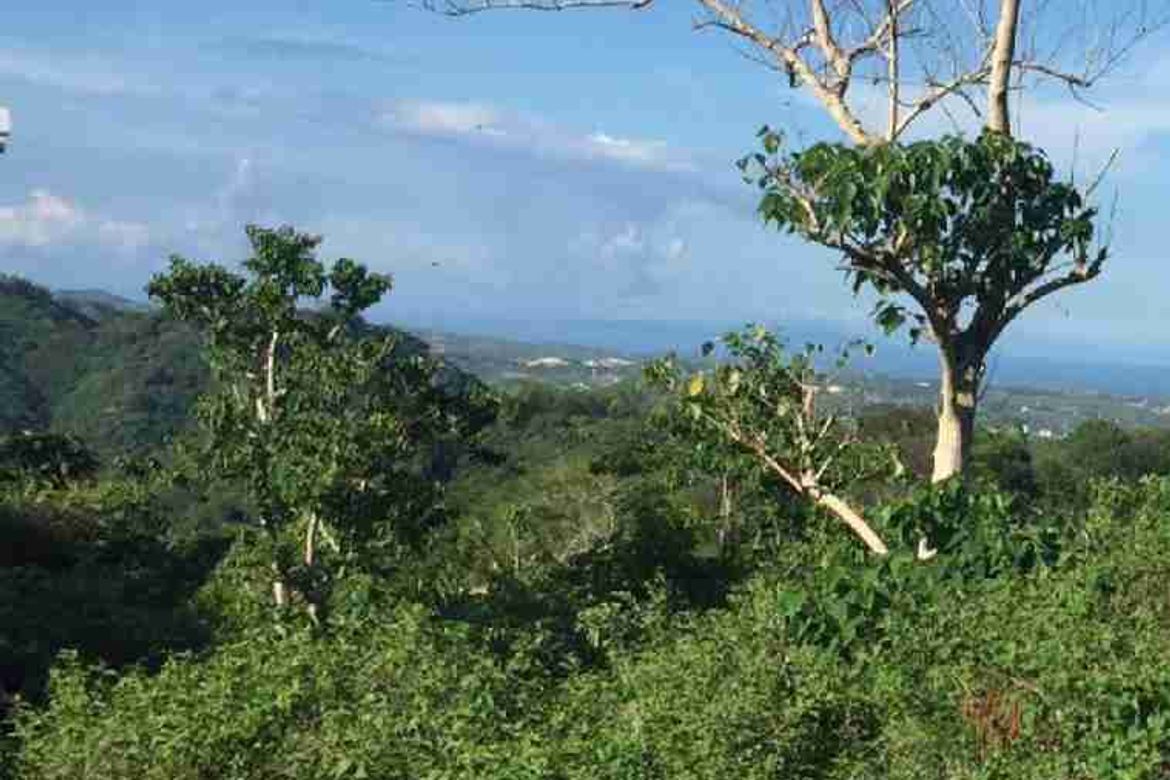 Land for Sale in Lahug, Cebu City, Cebu – photo 2
