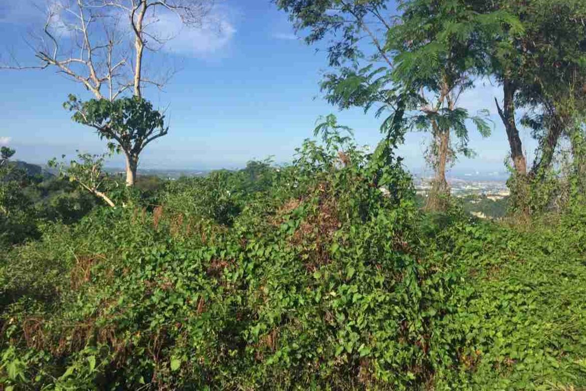 Land for Sale in Lahug, Cebu City, Cebu – photo 3