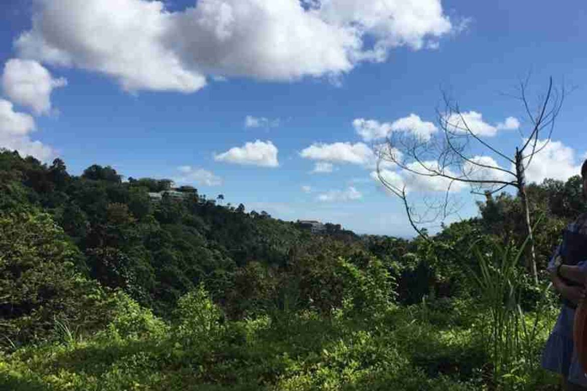 Land for Sale in Lahug, Cebu City, Cebu – photo 5